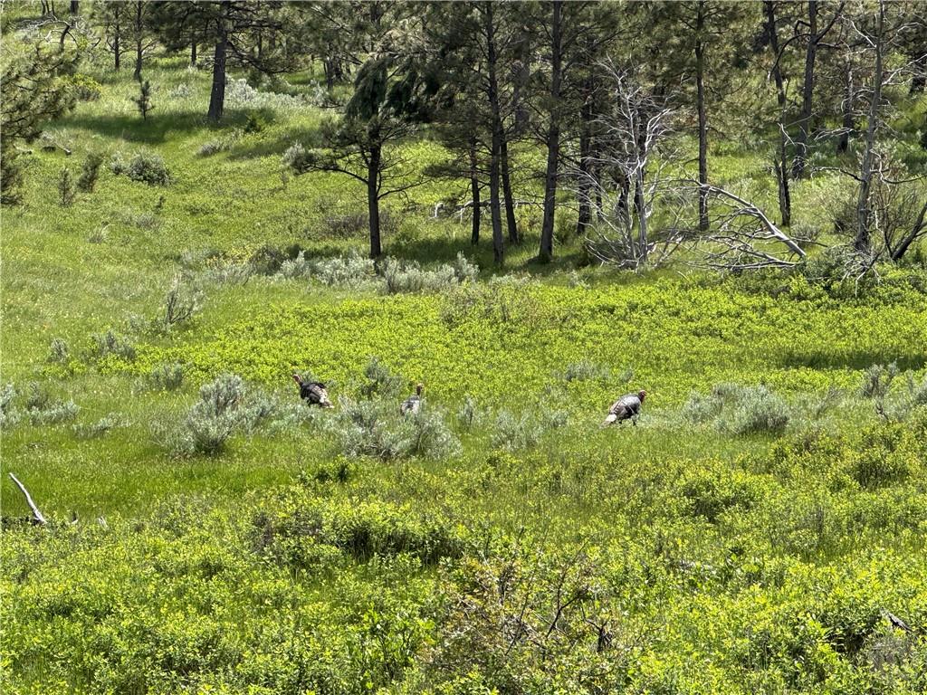 Tbd County Rd 147a Property Photo 24