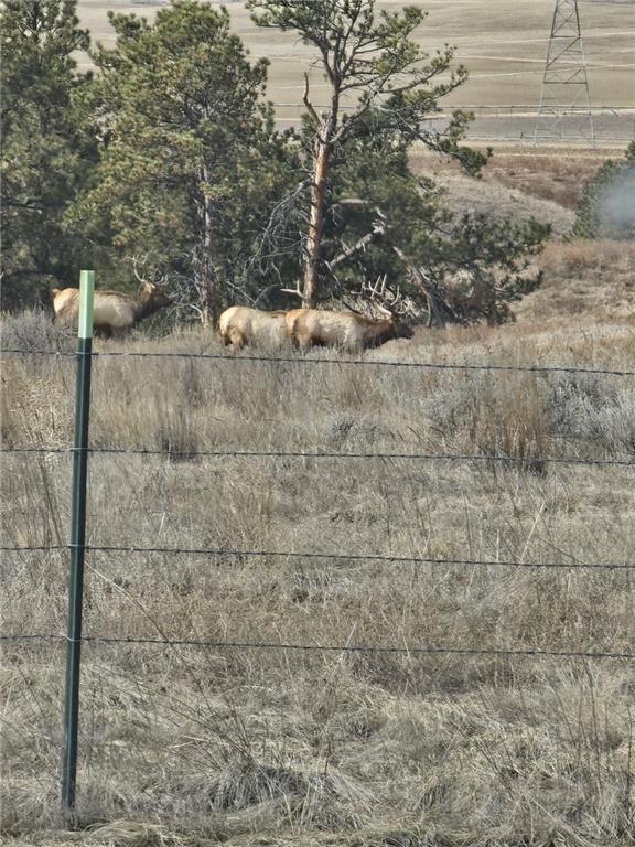 Tbd County Rd 147a Property Photo 26