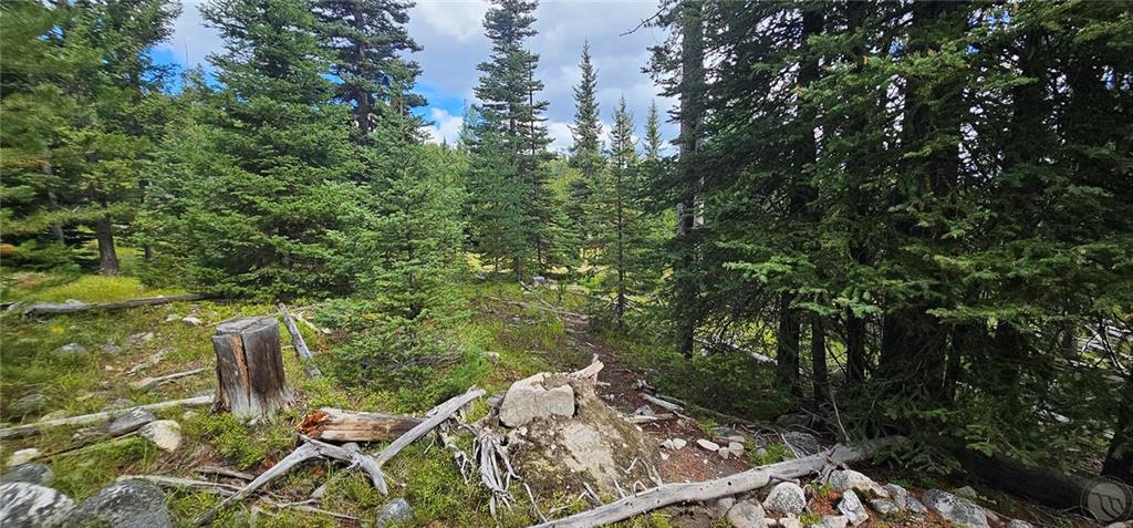 Tbd Jensen Creek Hideaway Property Photo 24