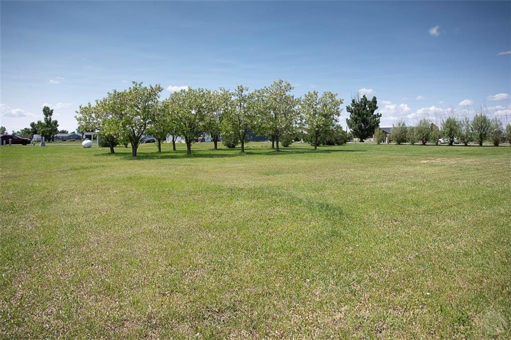 6639 Hackney Property Photo 32