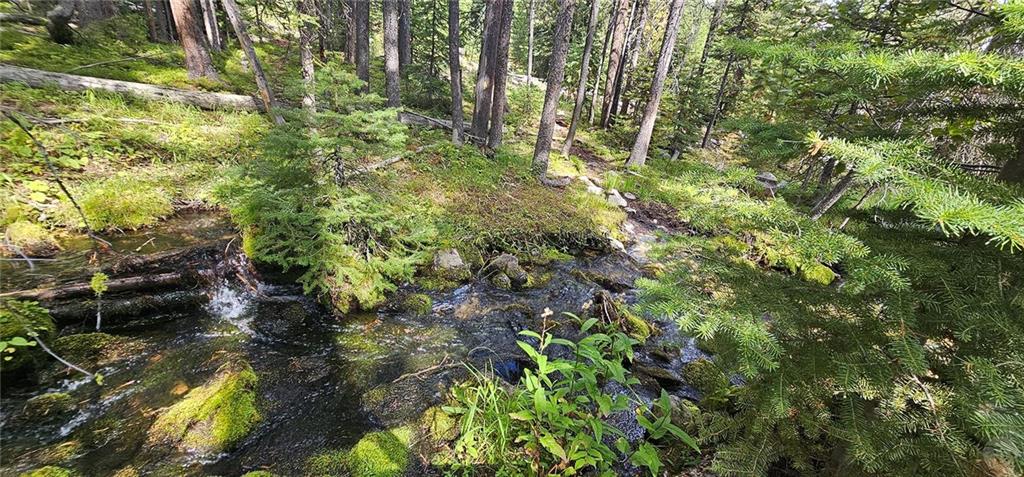 Tbd Jensen Creek Hideaway Property Photo 7