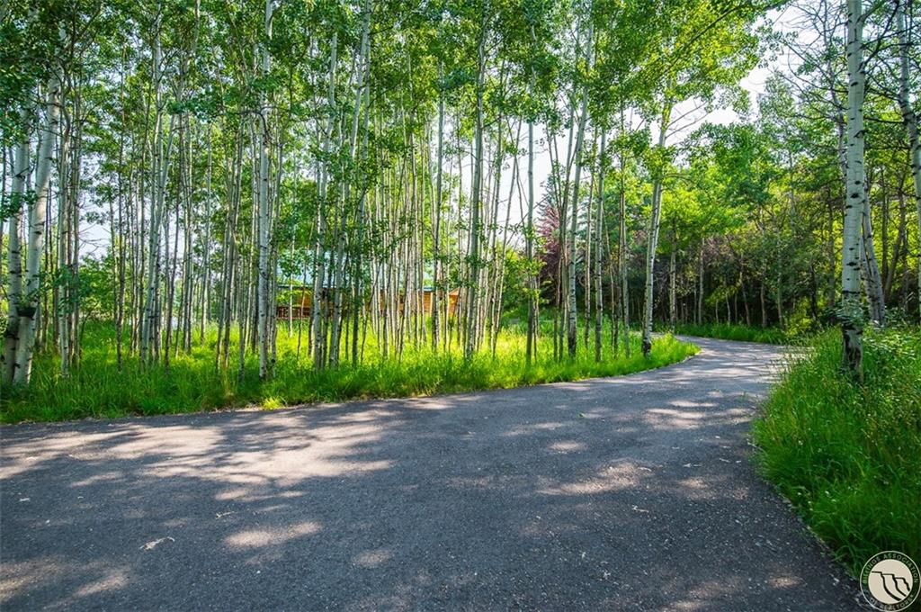 33 State Highway 308 Property Photo 5