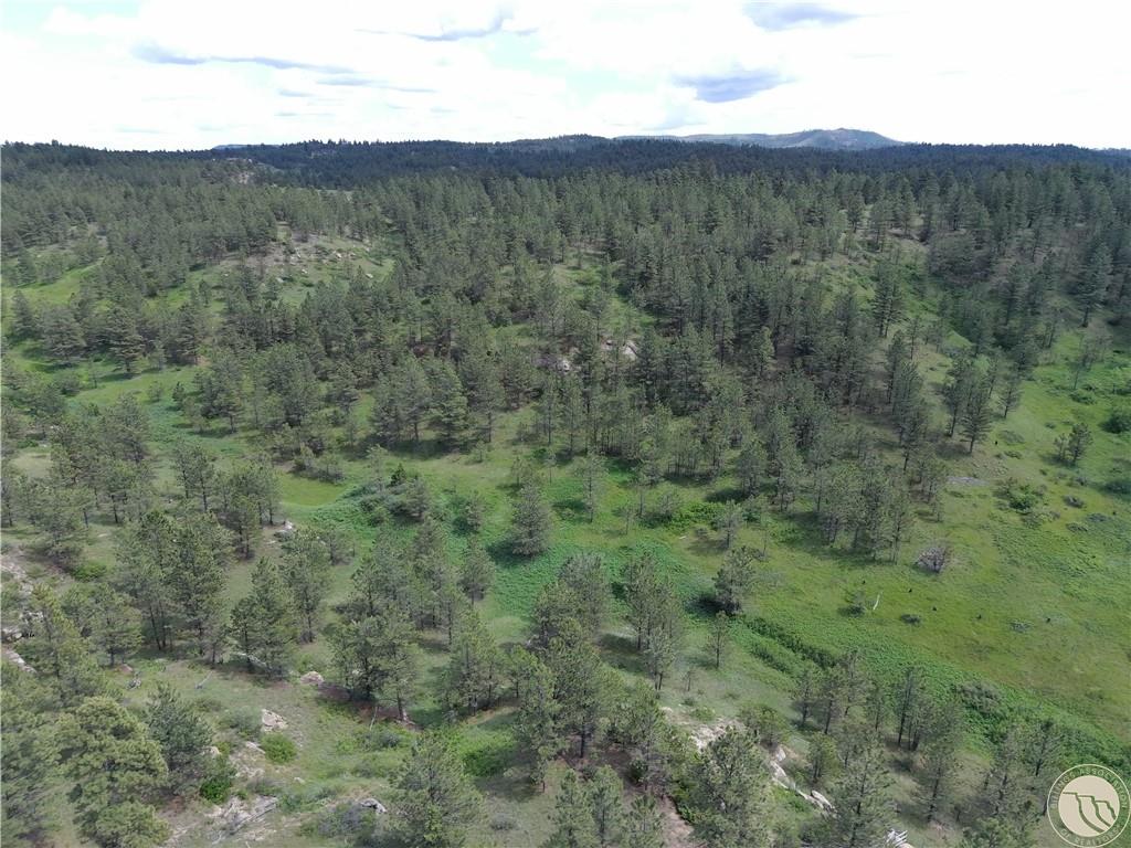 220 Johnnys Coal Rd Property Photo 11