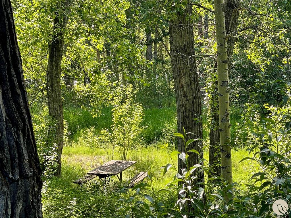53 Fox East Bench Road Property Photo 31