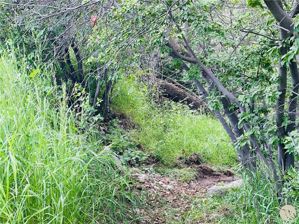 53 Fox East Bench Road Property Photo 33