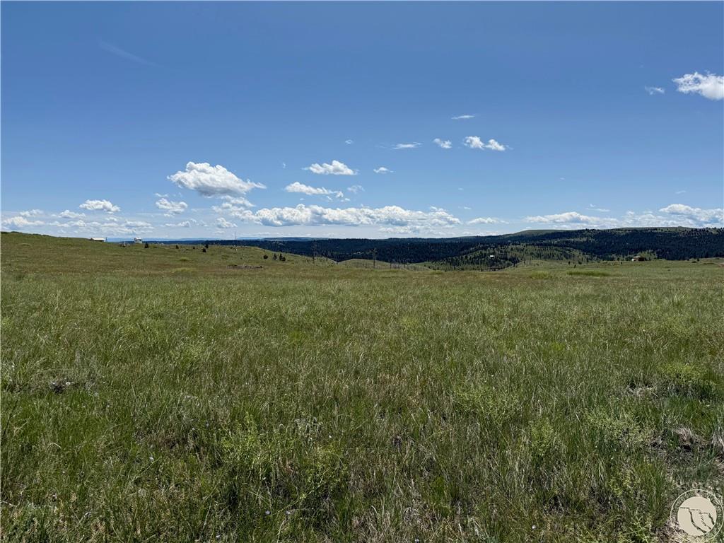 Lot 215 Coyote Pass Property Photo 1