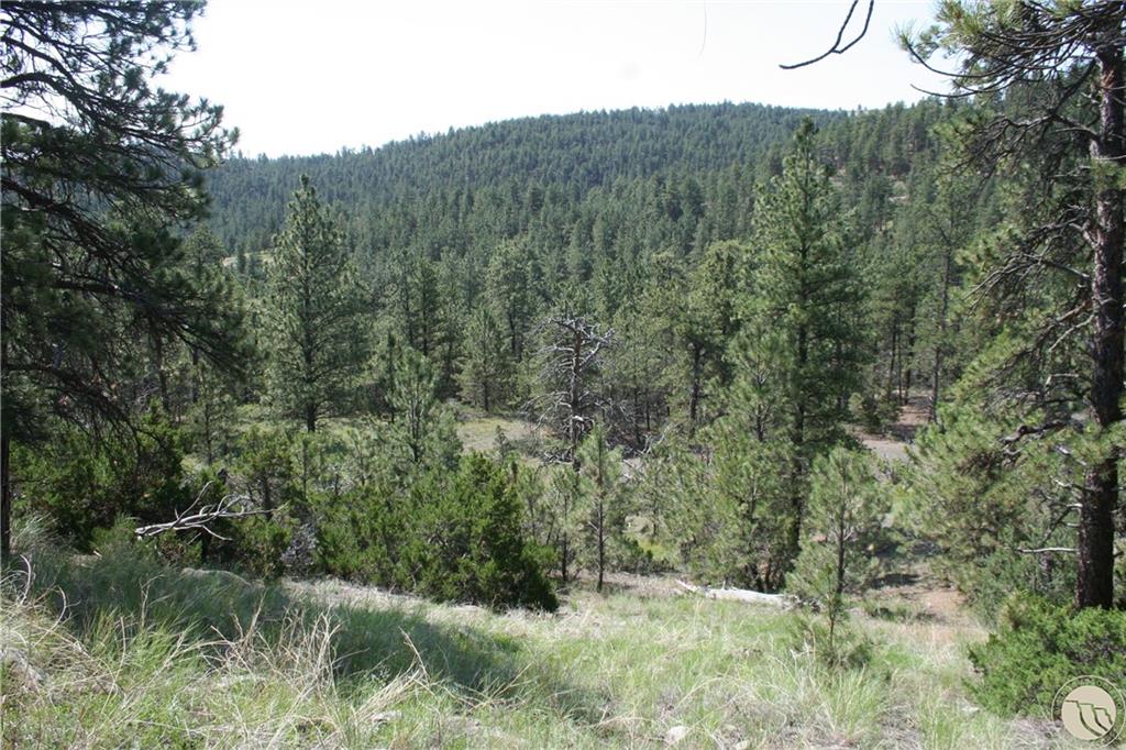 Lot 82 Cougar Trail Property Photo 1
