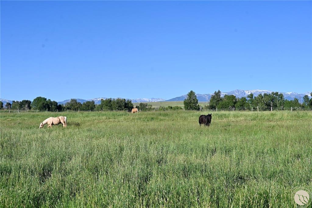 2994 Highway 78 Property Photo 8