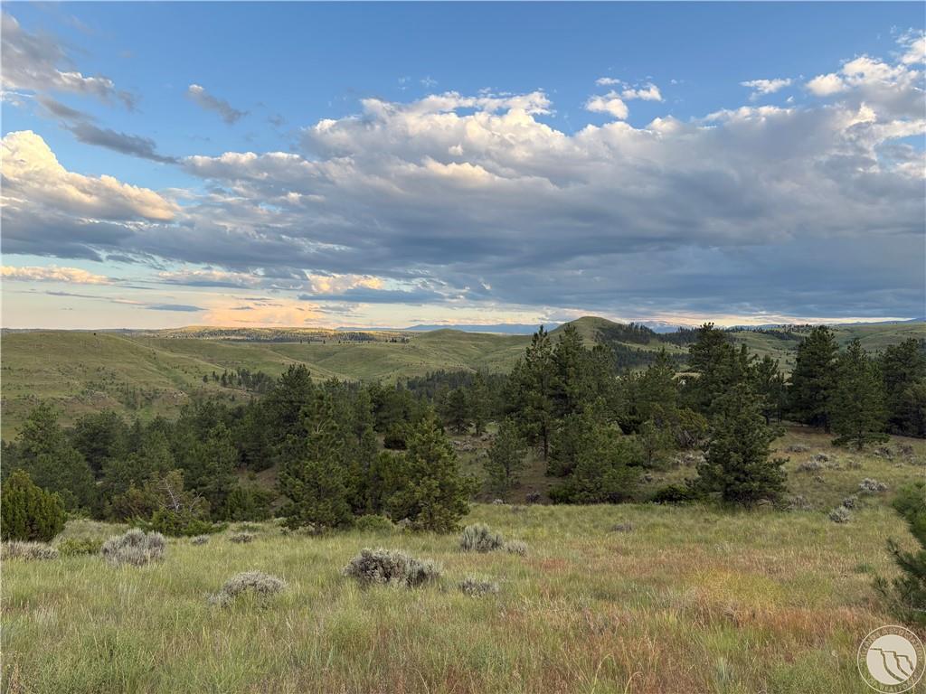Lot 94 Owl Canyon Road Property Photo 1