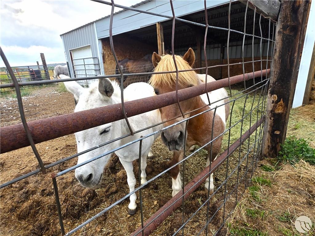 2307 Sportsman Park Road Property Photo 19