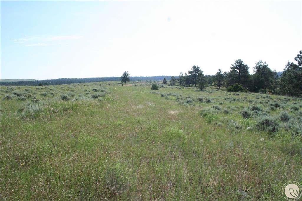 Lot 74 High Pines Bluff Property Photo 1