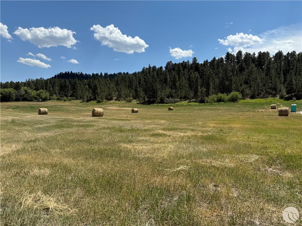 4552 Highway 78 Property Photo 1