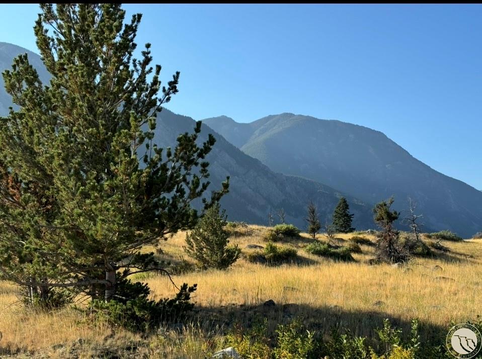 28 Moon Trail