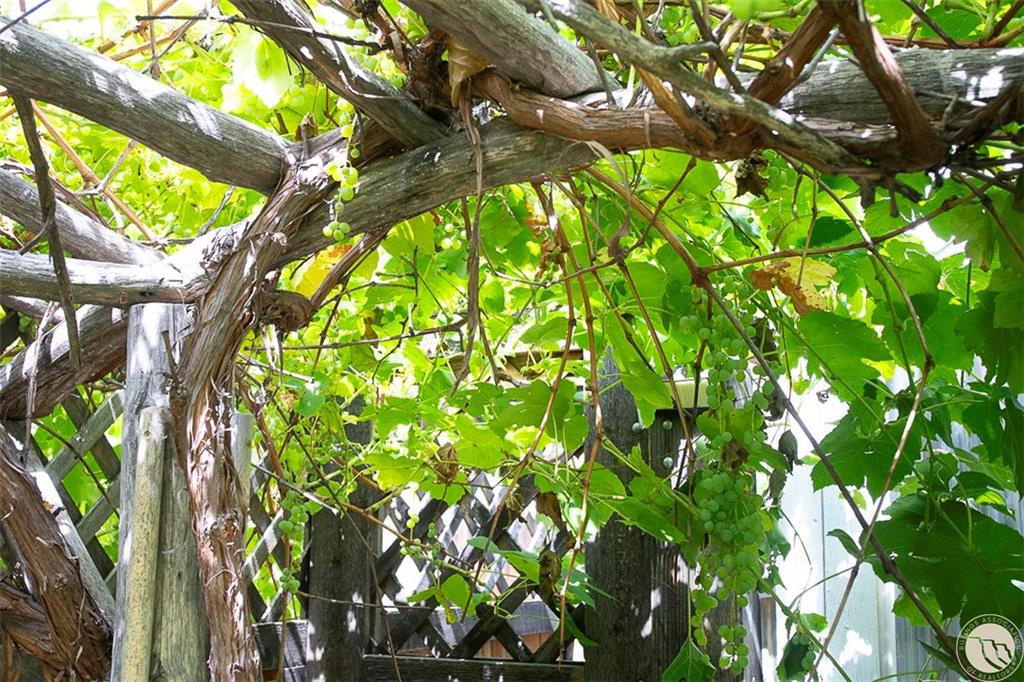 229 Avenue B Property Photo 34