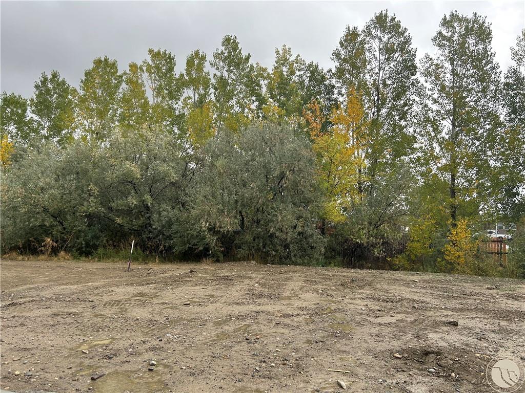 1261 Cherry Island Drive Property Photo 24