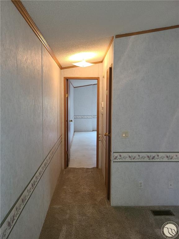 16 Brookpark Drive Property Photo 6