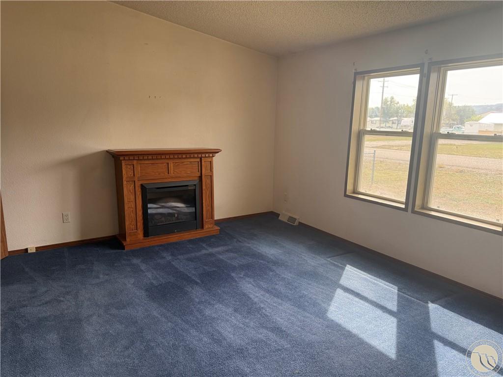 1130 E 2nd Avenue Property Photo 12