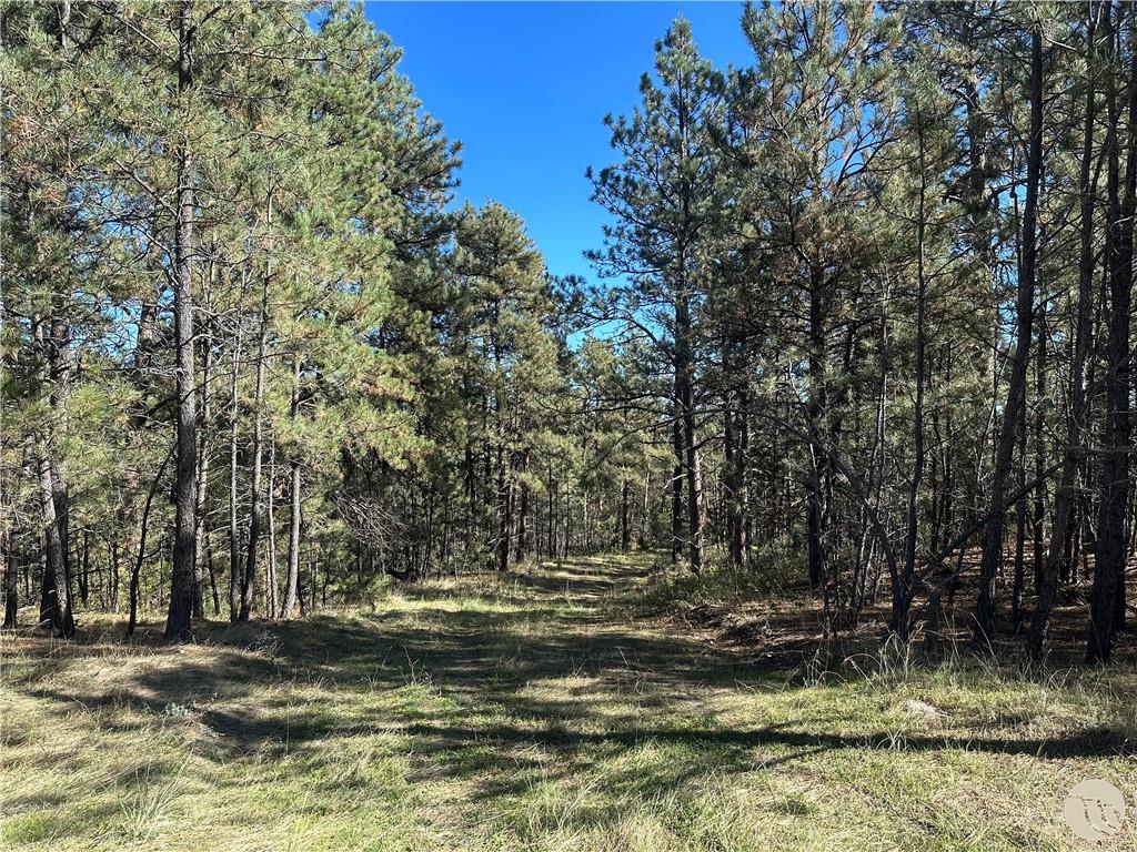 TBD Smith Ct Property Photo 1