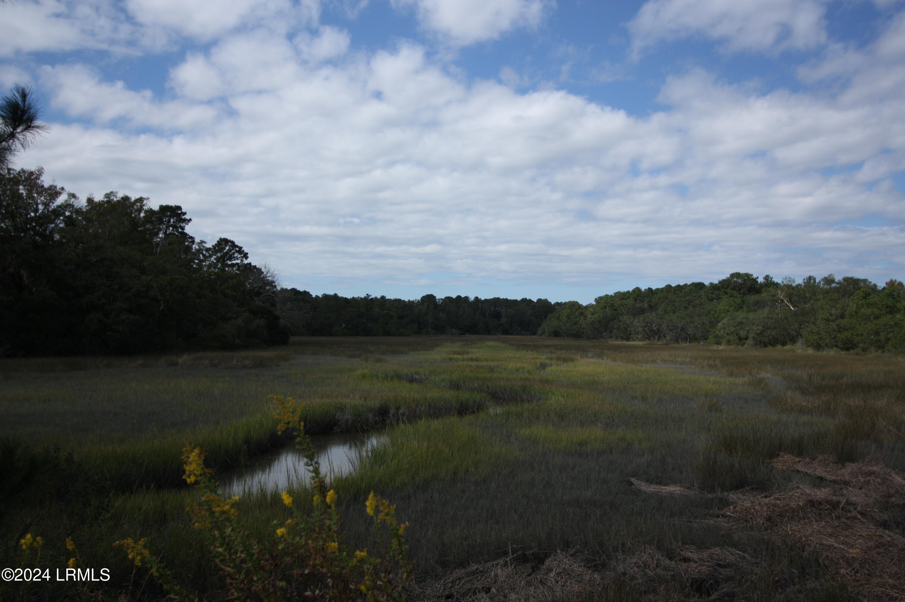 1167 Old Sheldon Church Road Property Photo 18