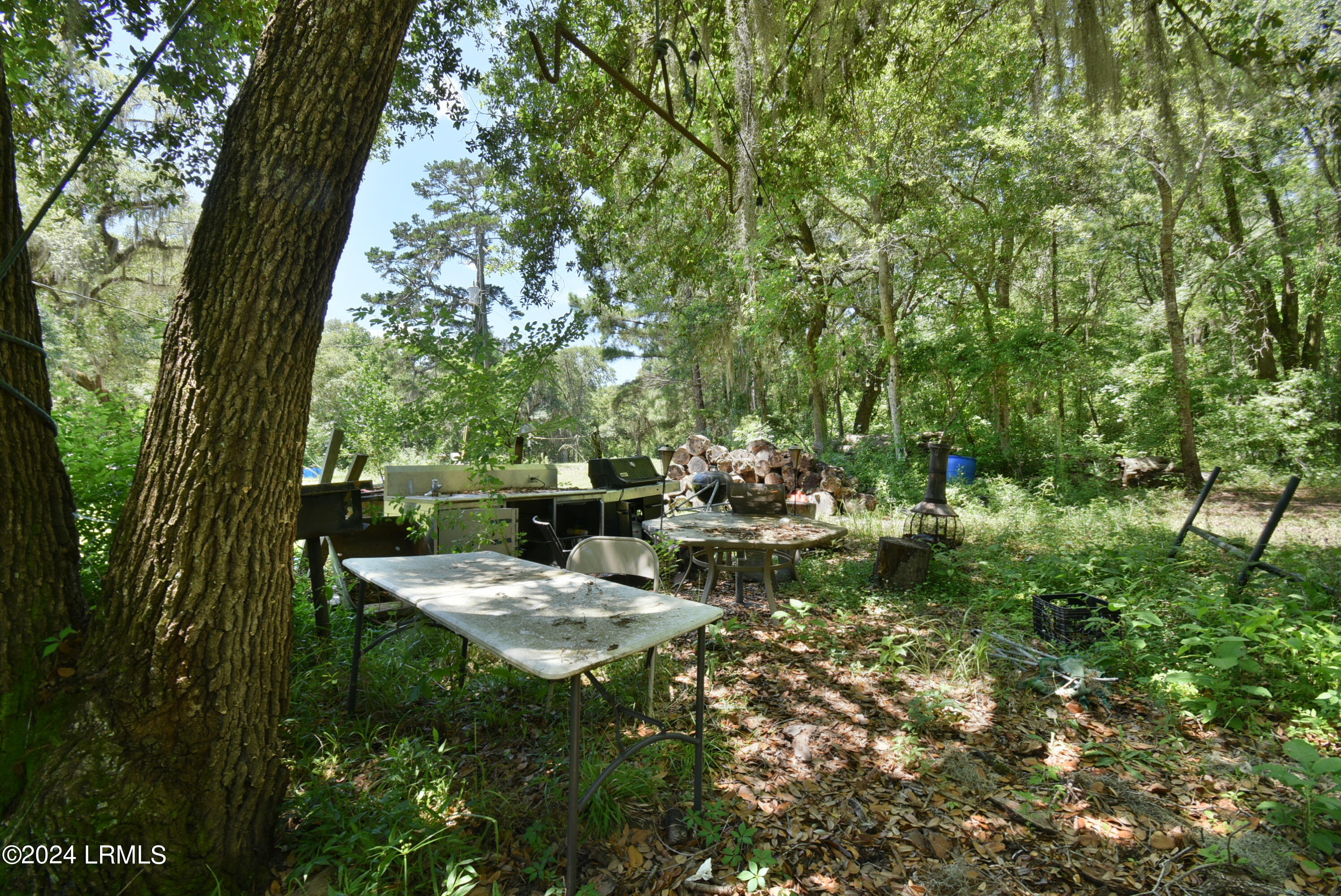 301 Old Pocotaligo Road Property Photo 16