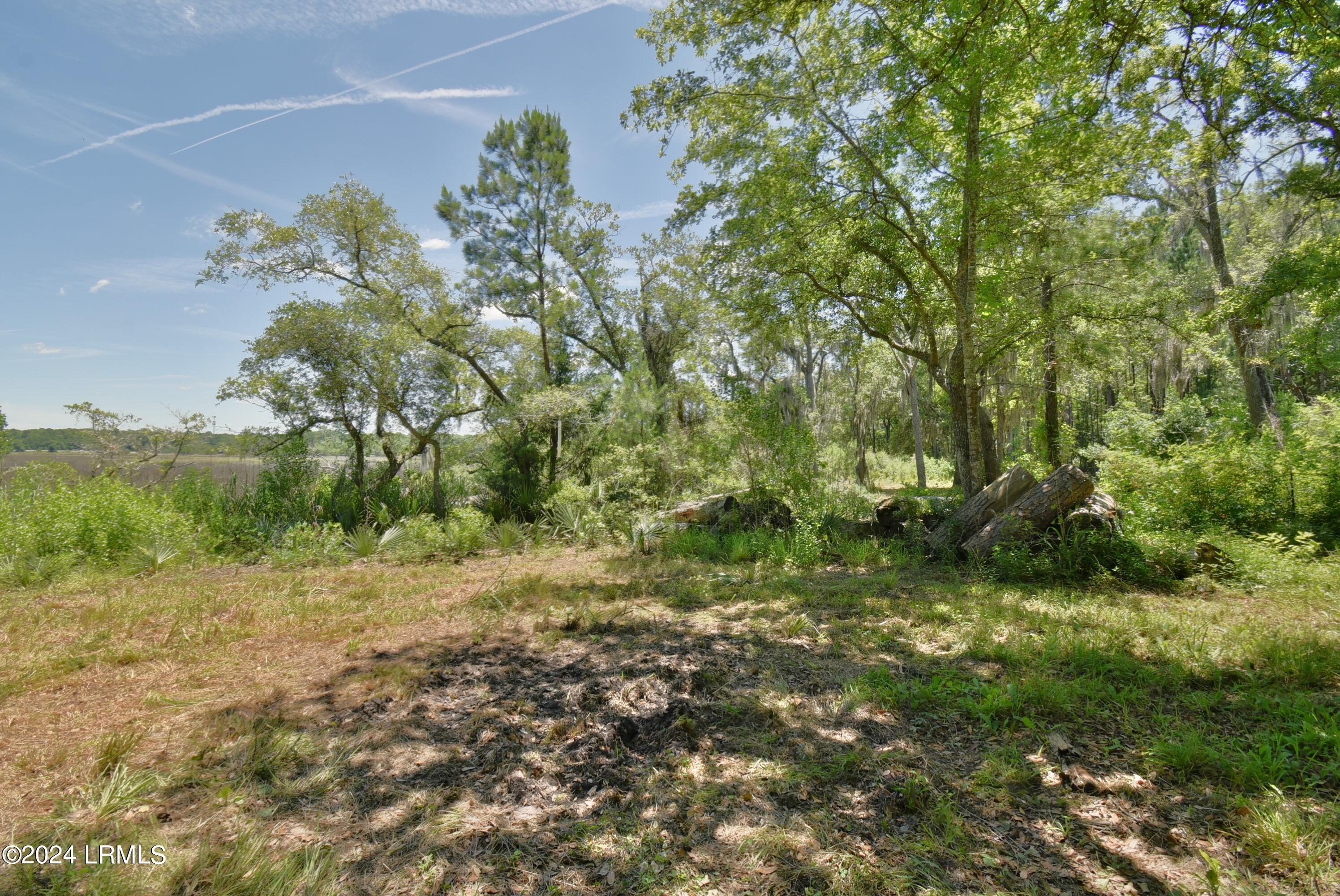 301 Old Pocotaligo Road Property Photo 21