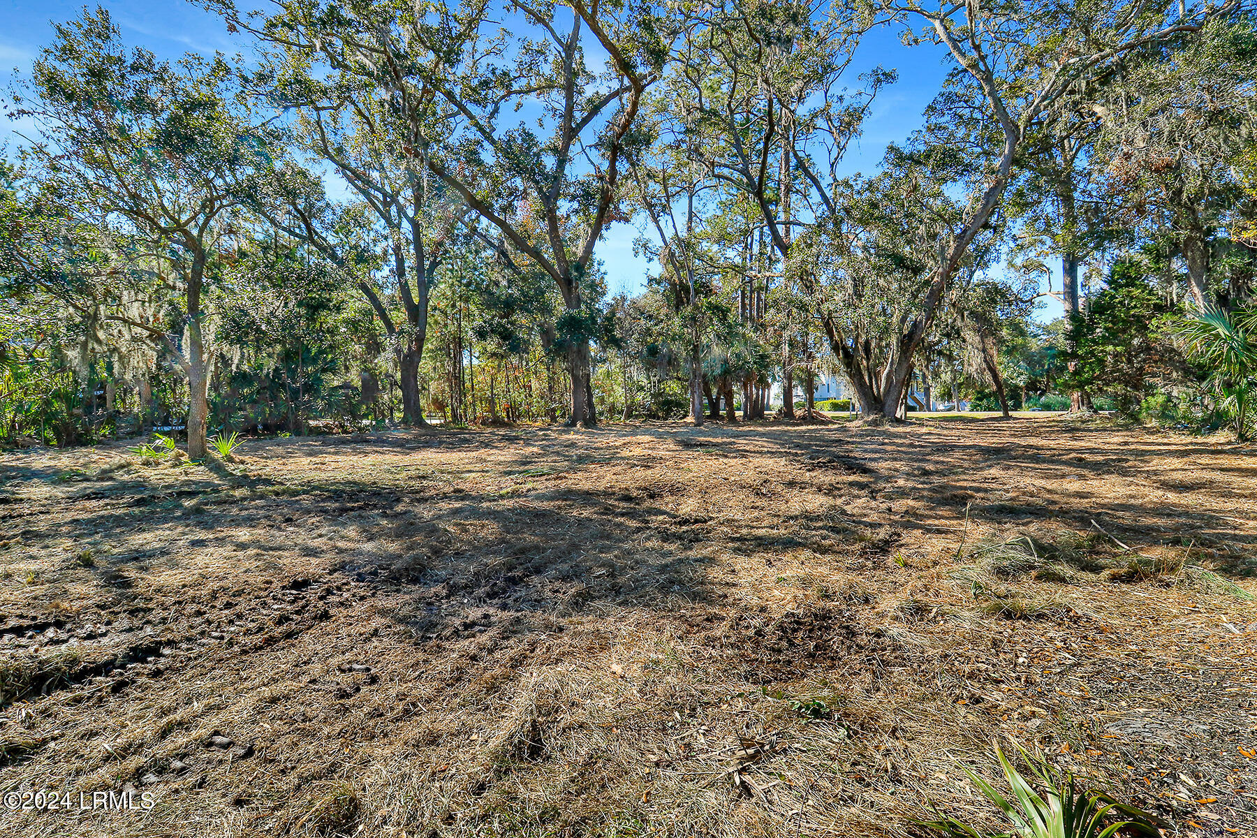 Tbd Broadview Drive Property Photo 15