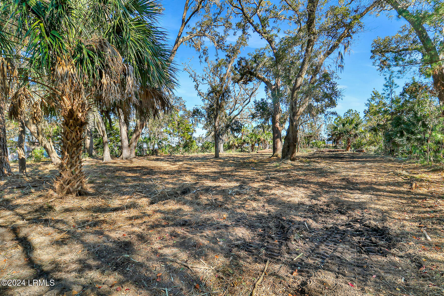 Tbd Broadview Drive Property Photo 18