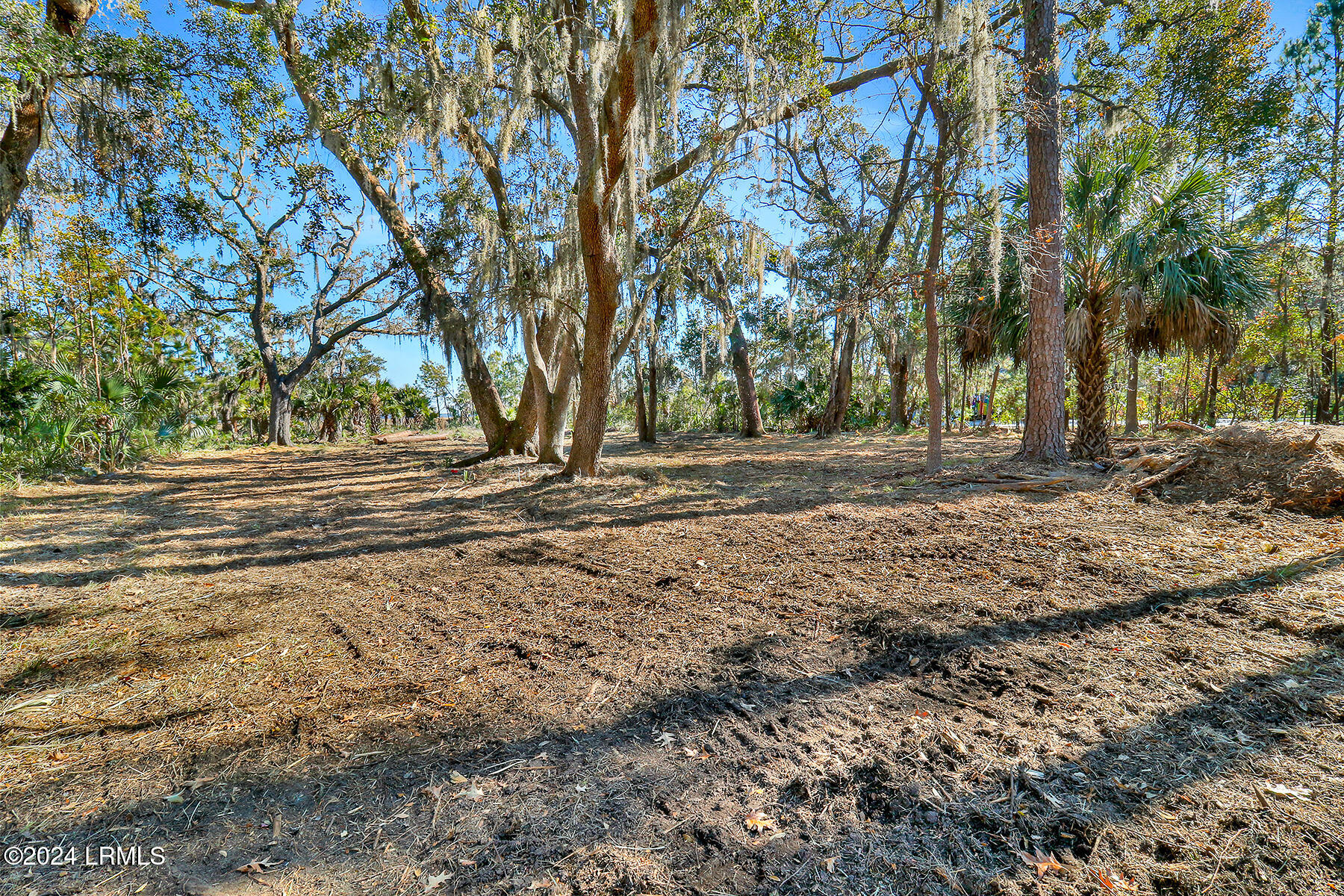 Tbd Broadview Drive Property Photo 19