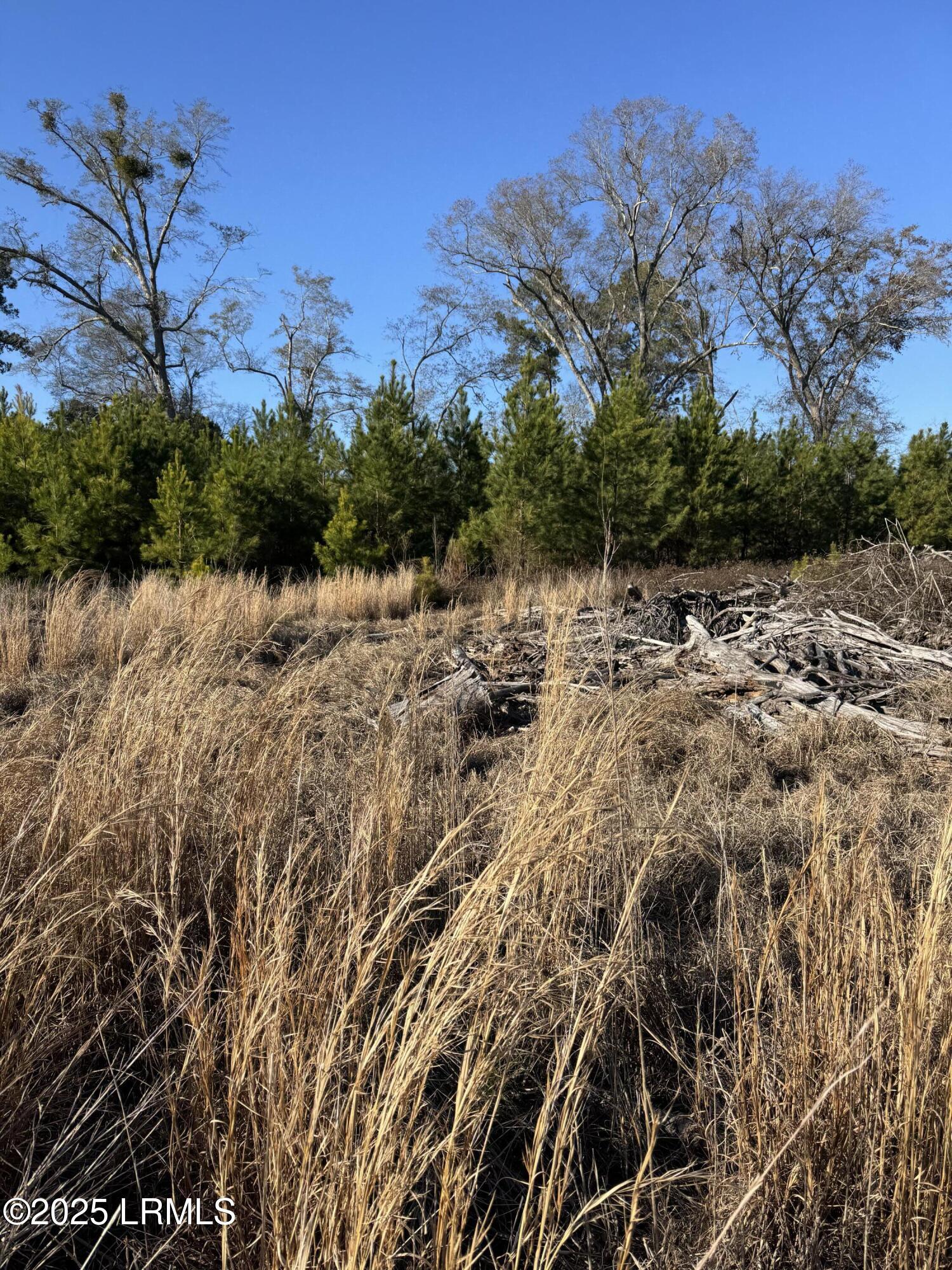 Tbd S Ulmer Rd Property Photo 2