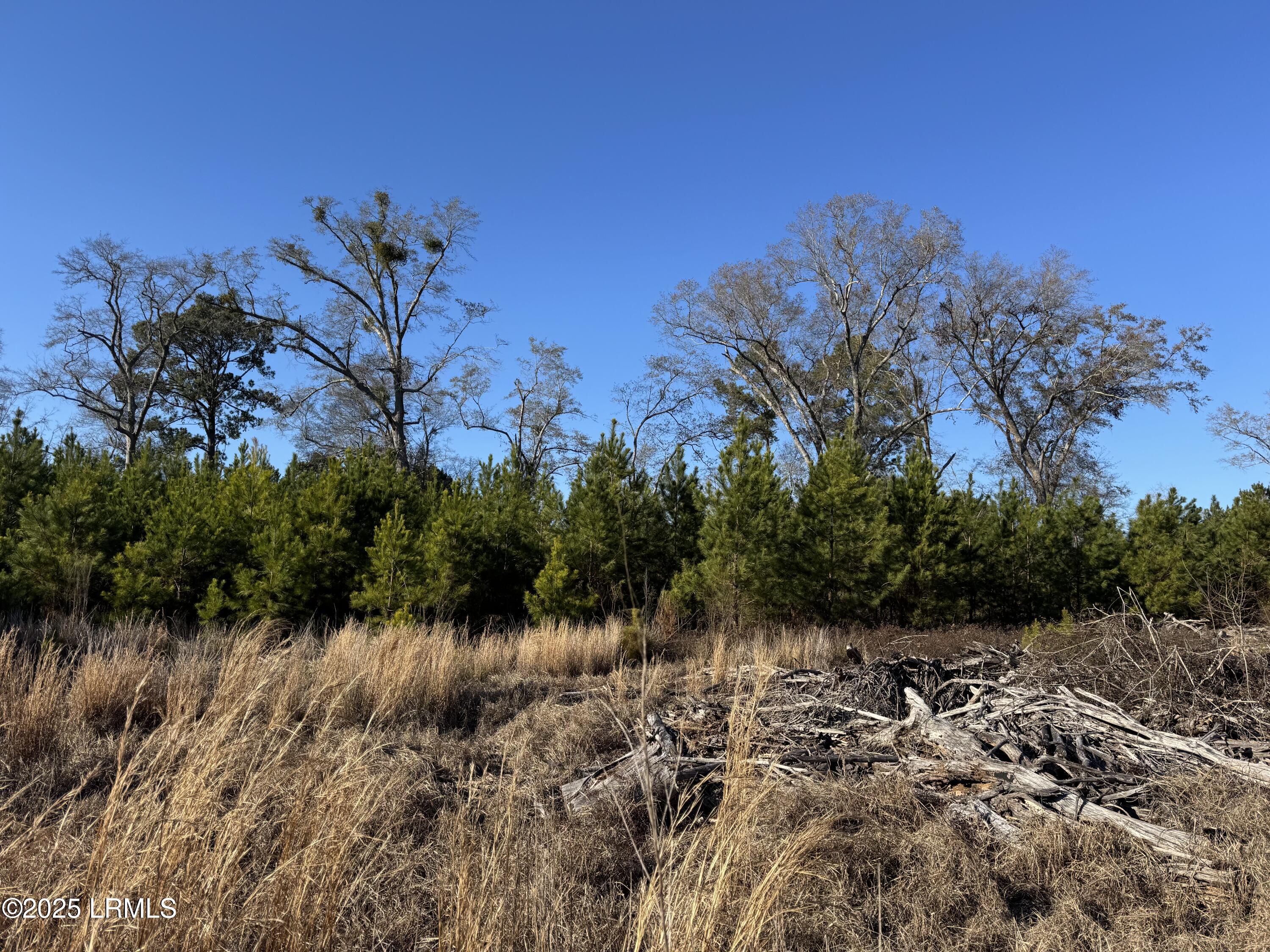 Tbd S Ulmer Rd Property Photo 3
