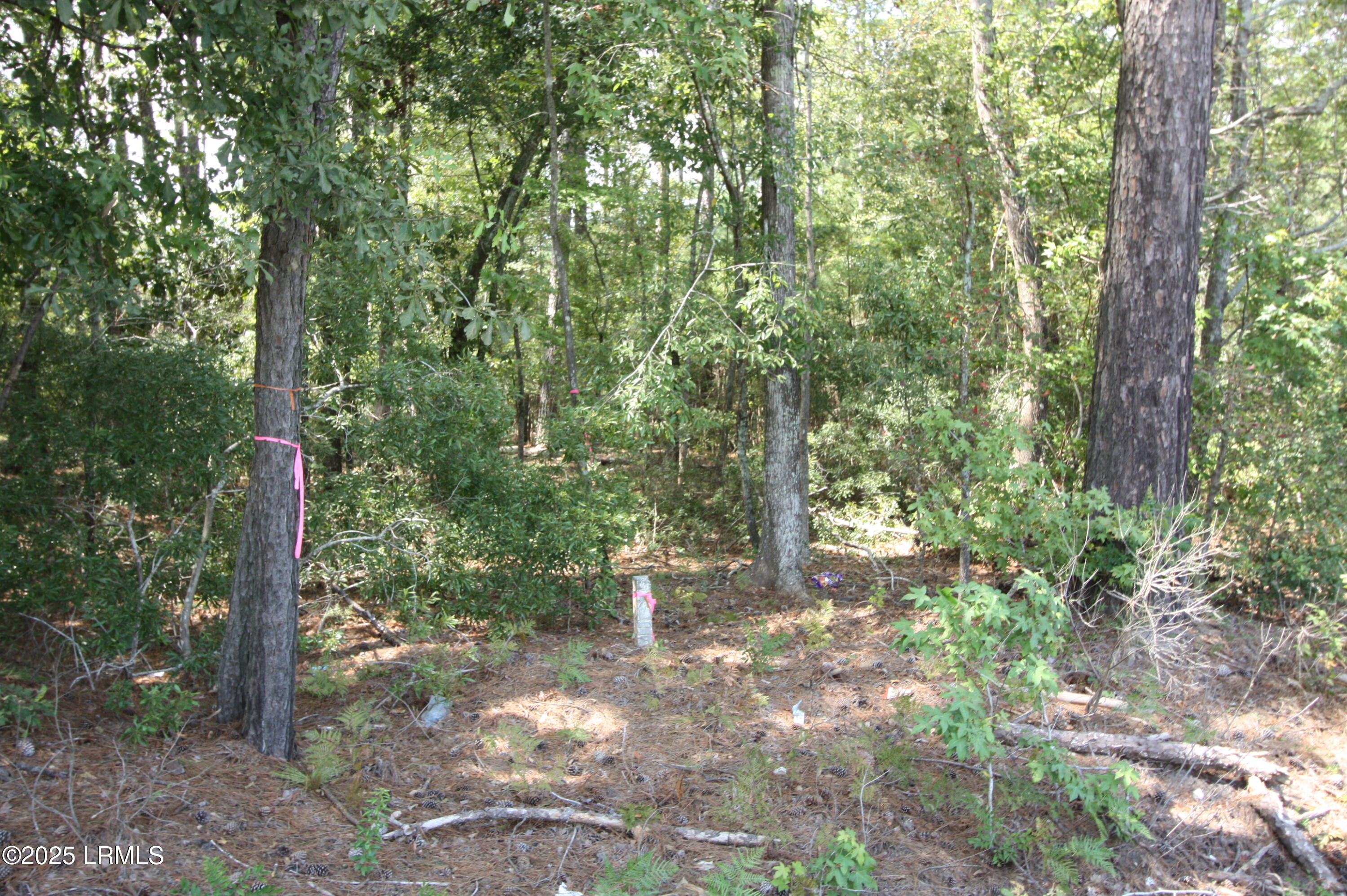 Tbd Stokes Bluff Landing Property Photo 2