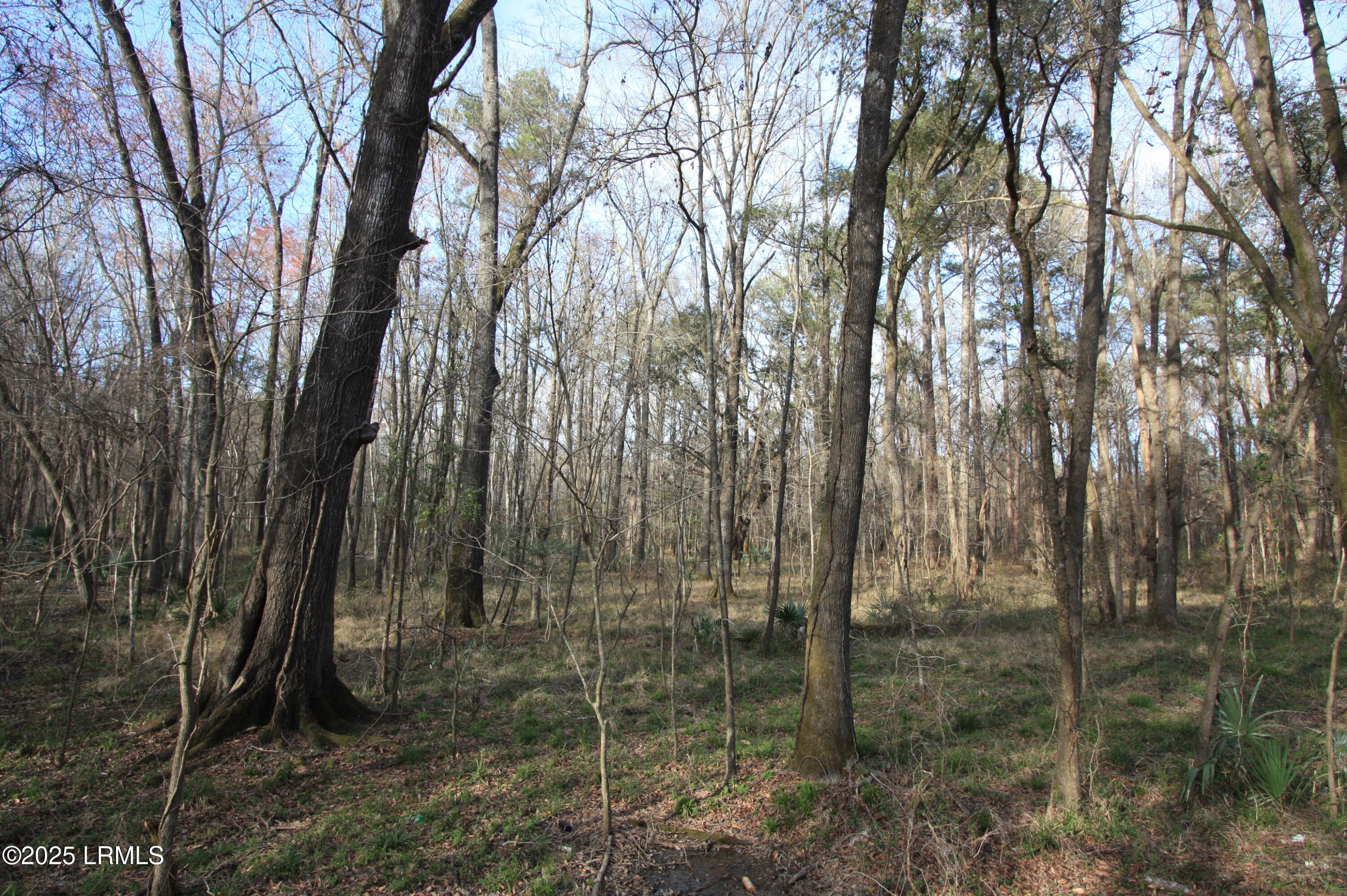 Tbd Stokes Bluff Landing Property Photo 3
