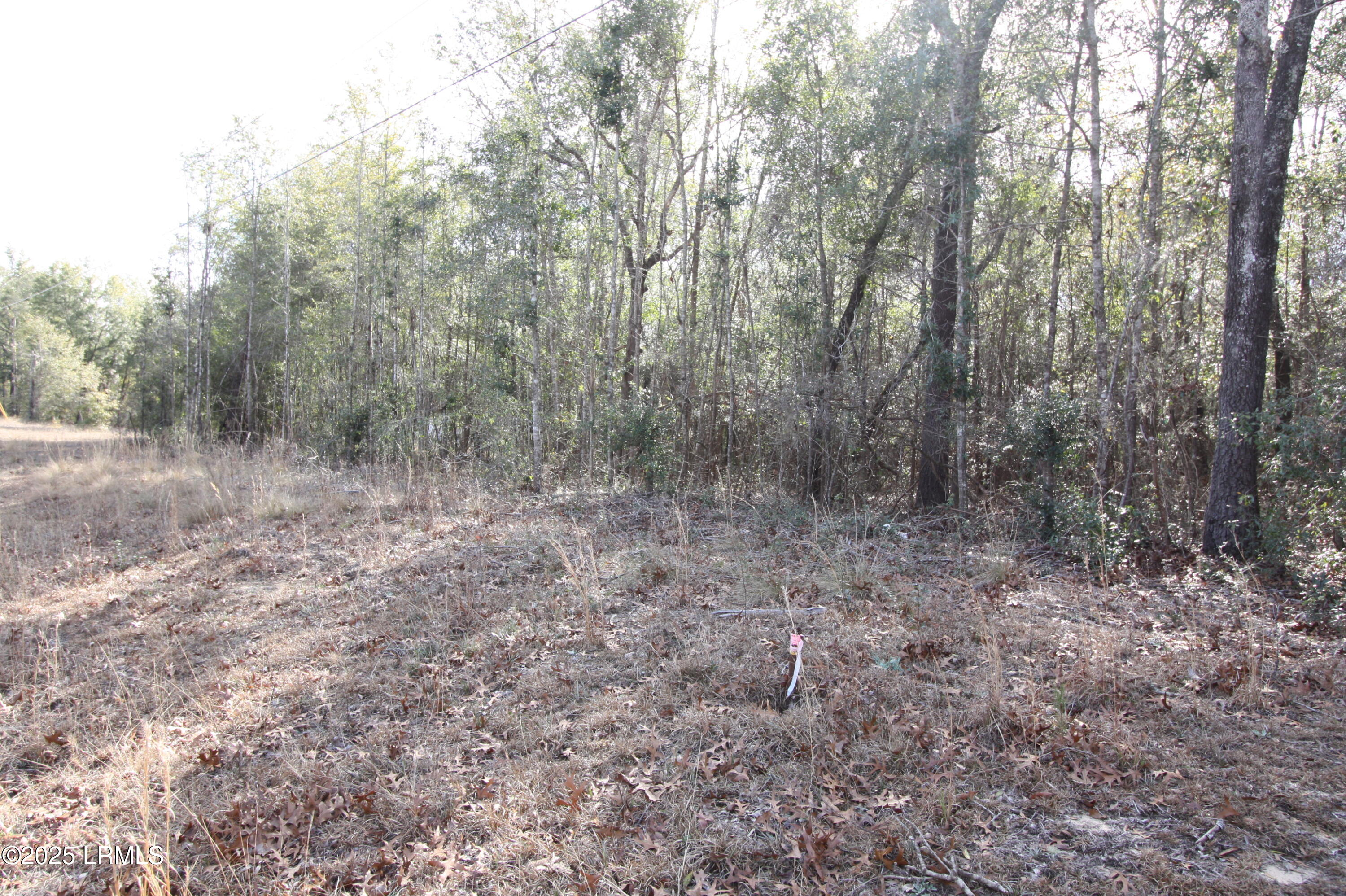 Tbd Stokes Bluff Landing Property Photo 8