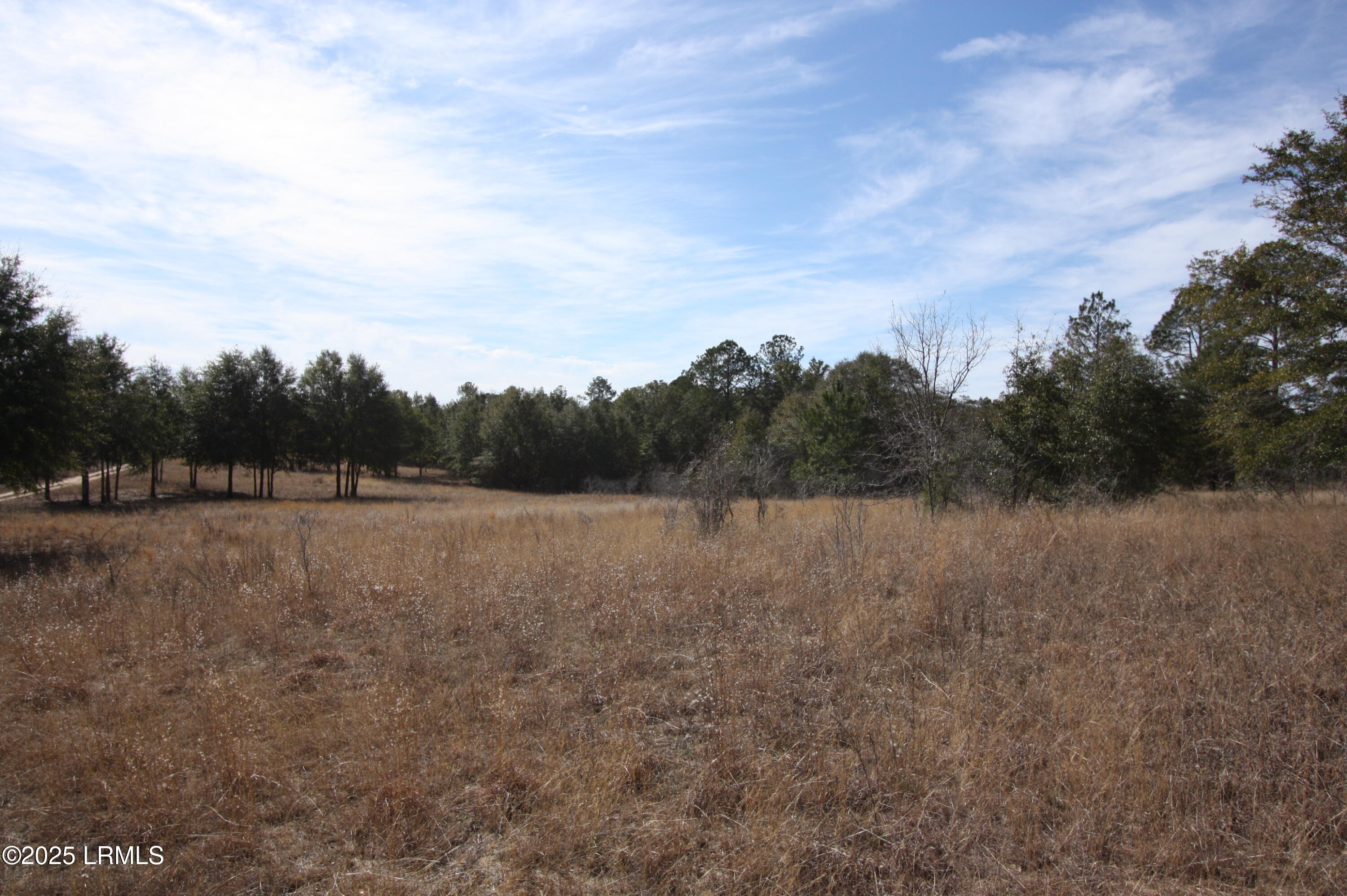 Tbd Stokes Bluff Landing Property Photo 9