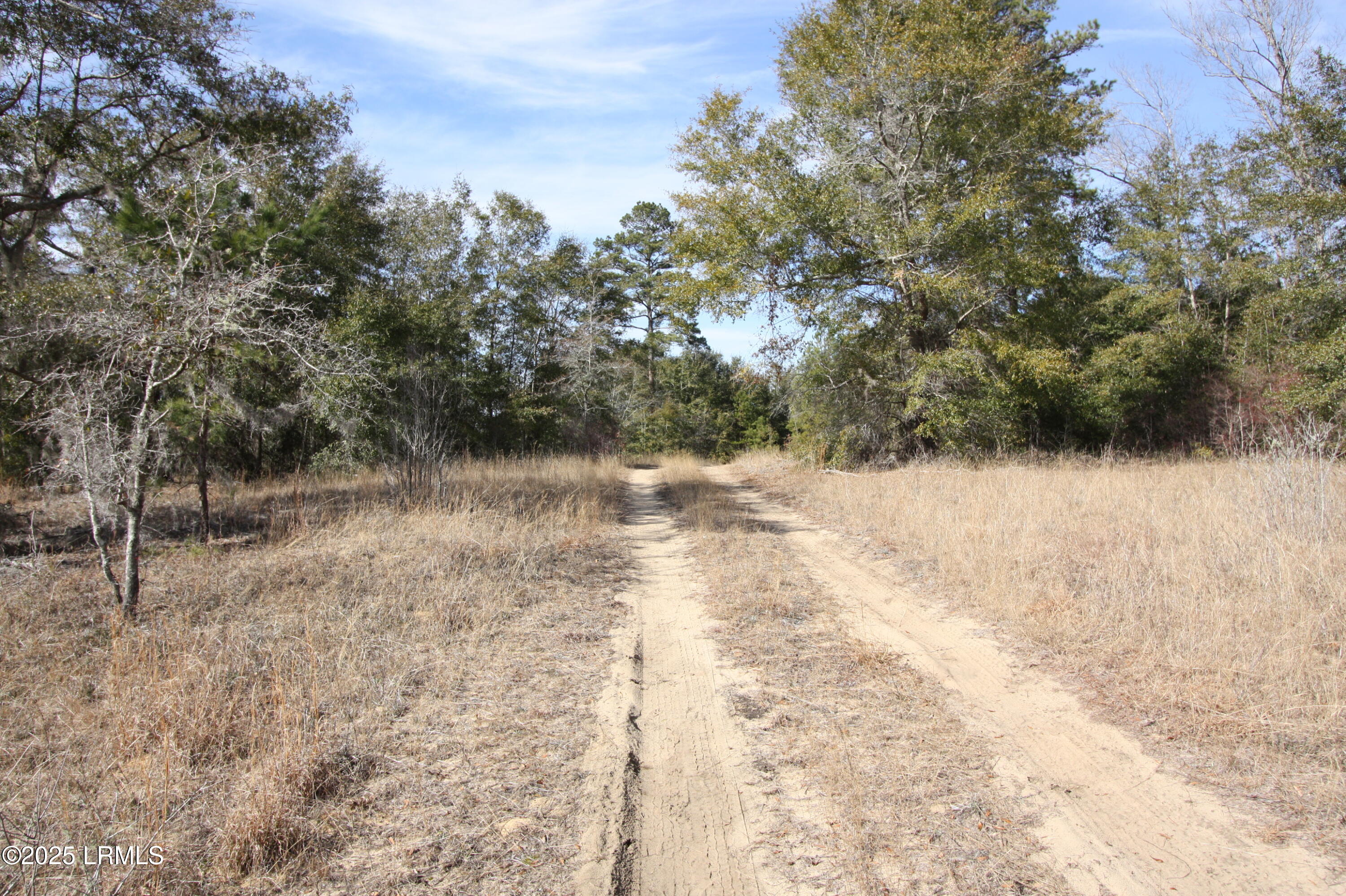 Tbd Stokes Bluff Landing Property Photo 10