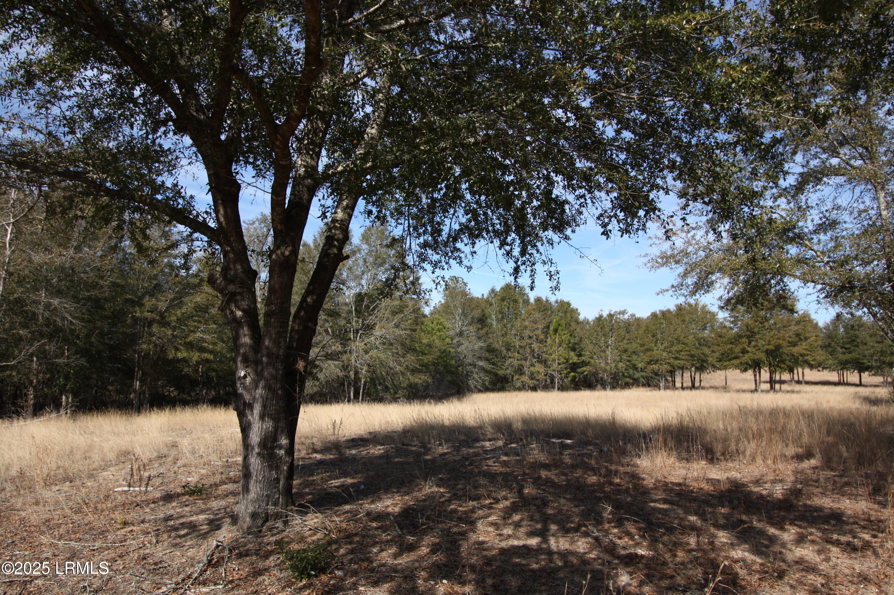Tbd Stokes Bluff Landing Property Photo 13