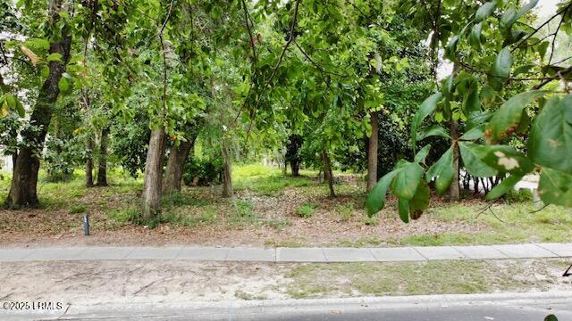 104 Palmetto Place Property Photo