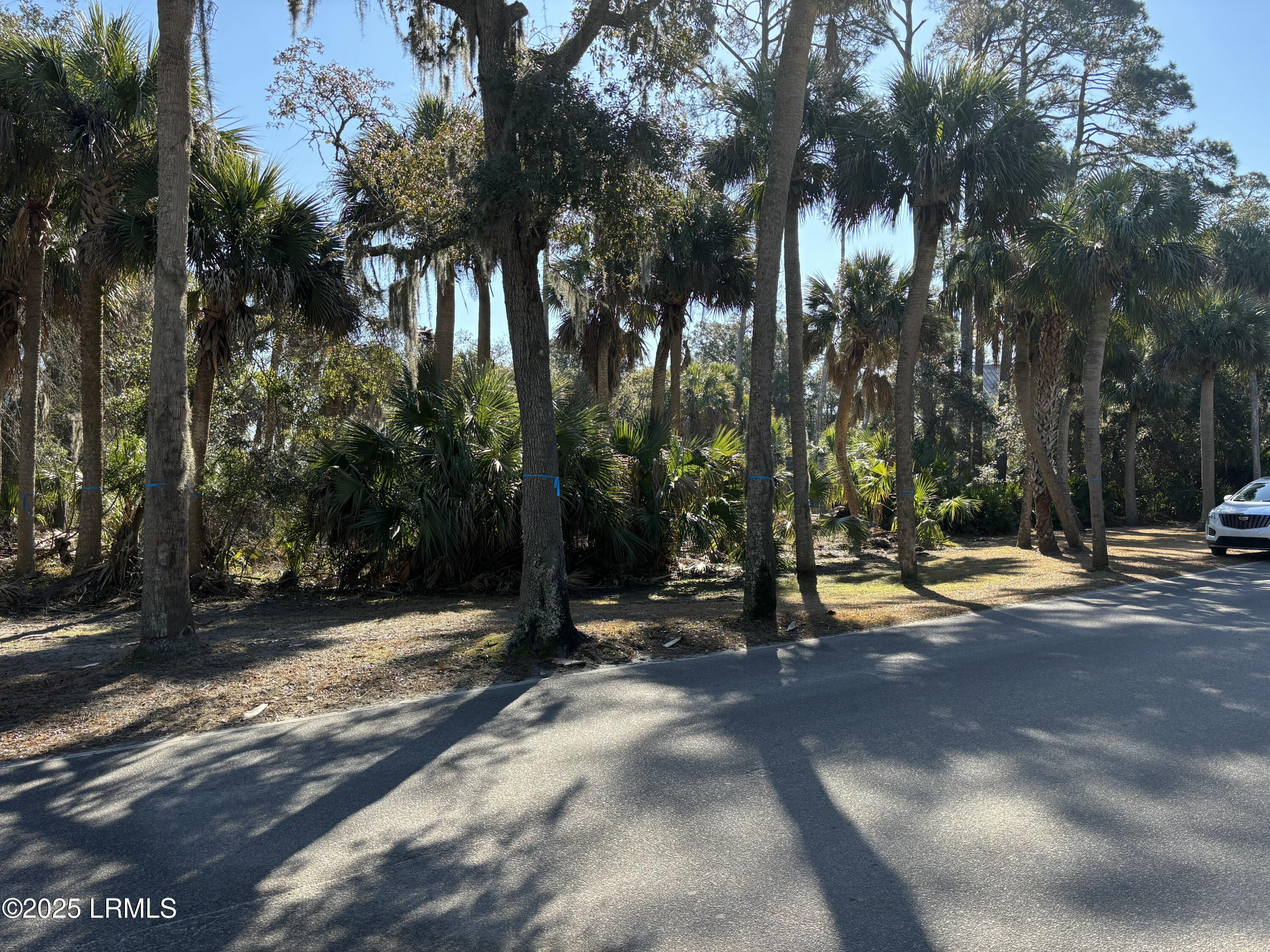 307 Deer Pointe Court Property Photo 1