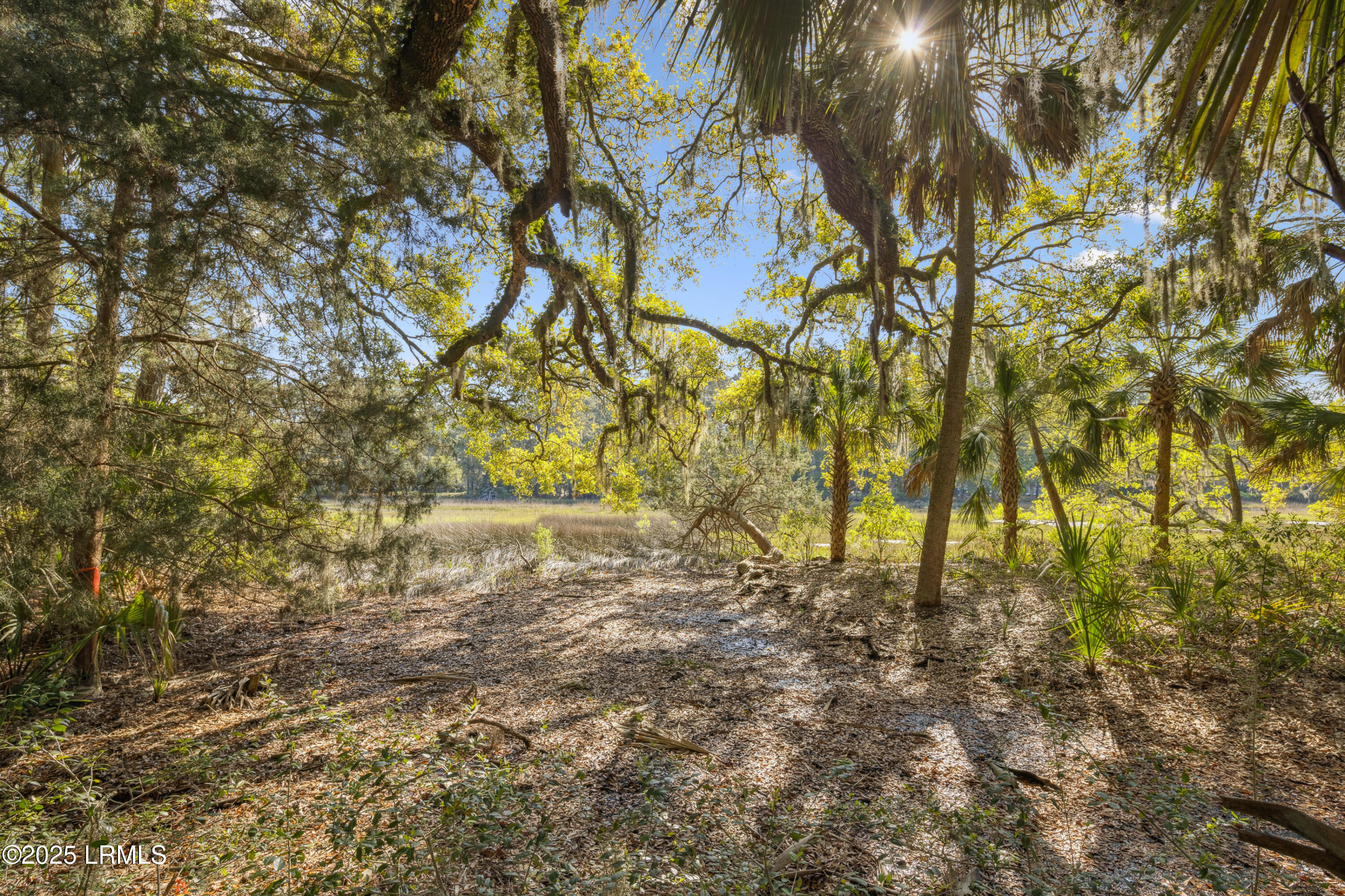 8 Chechessee Circle Property Photo 64