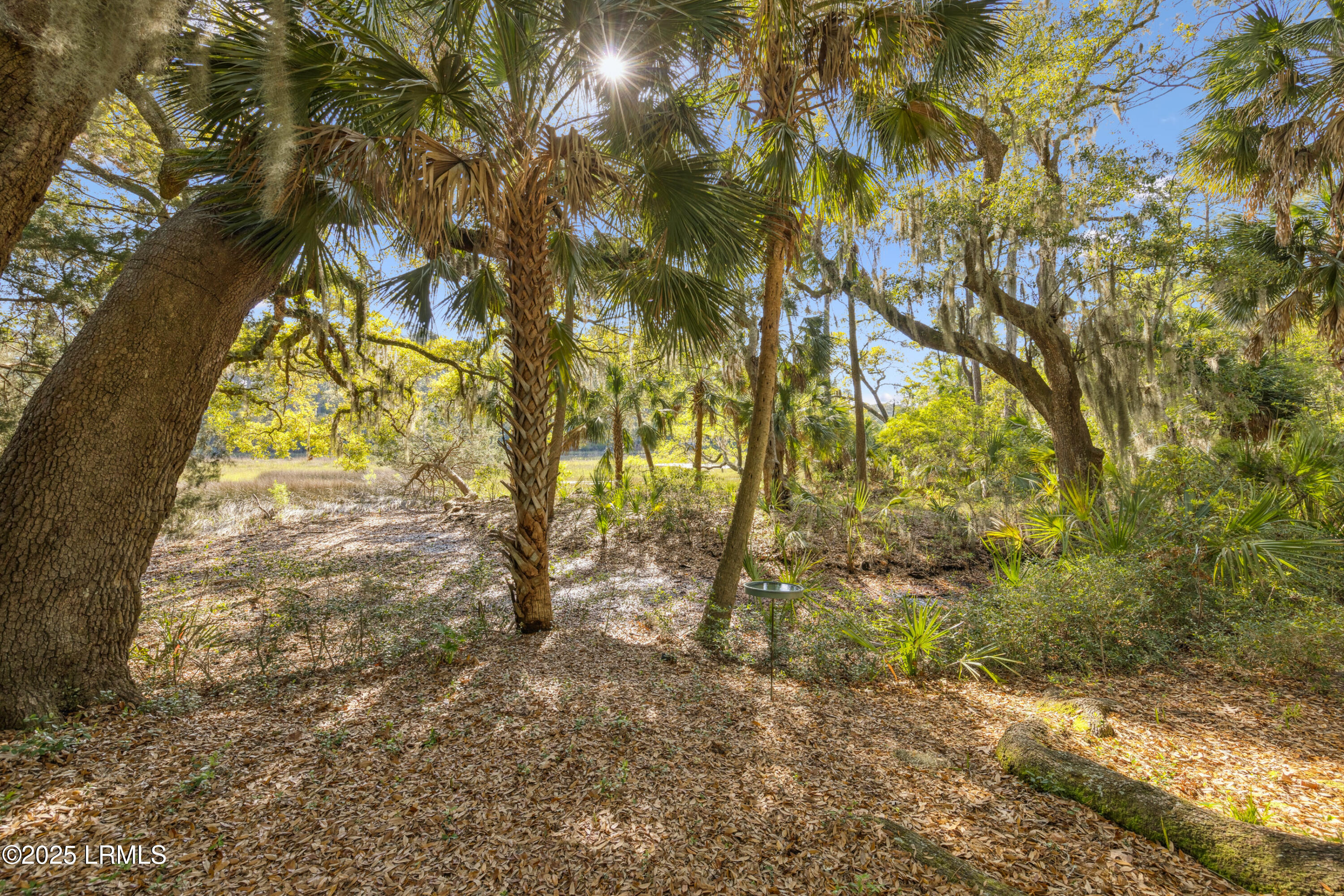 8 Chechessee Circle Property Photo 65