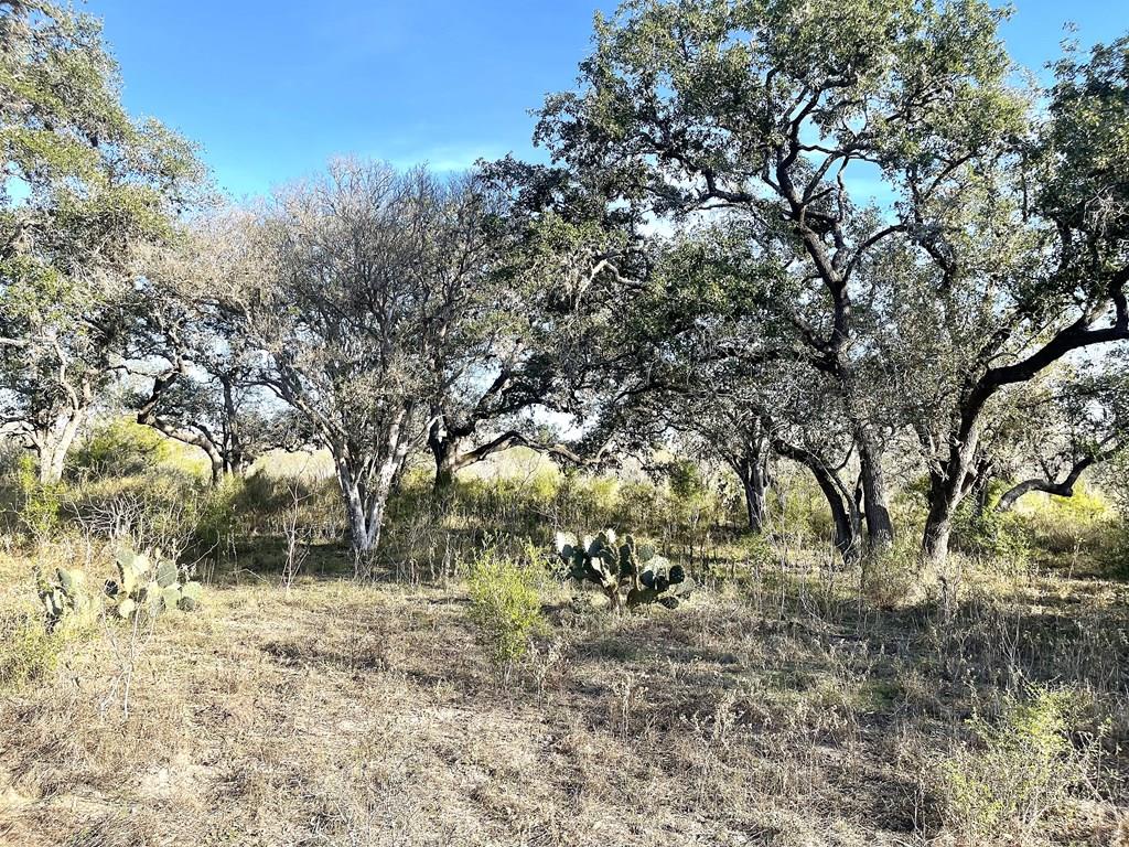 9654 Fm 2617 Property Photo