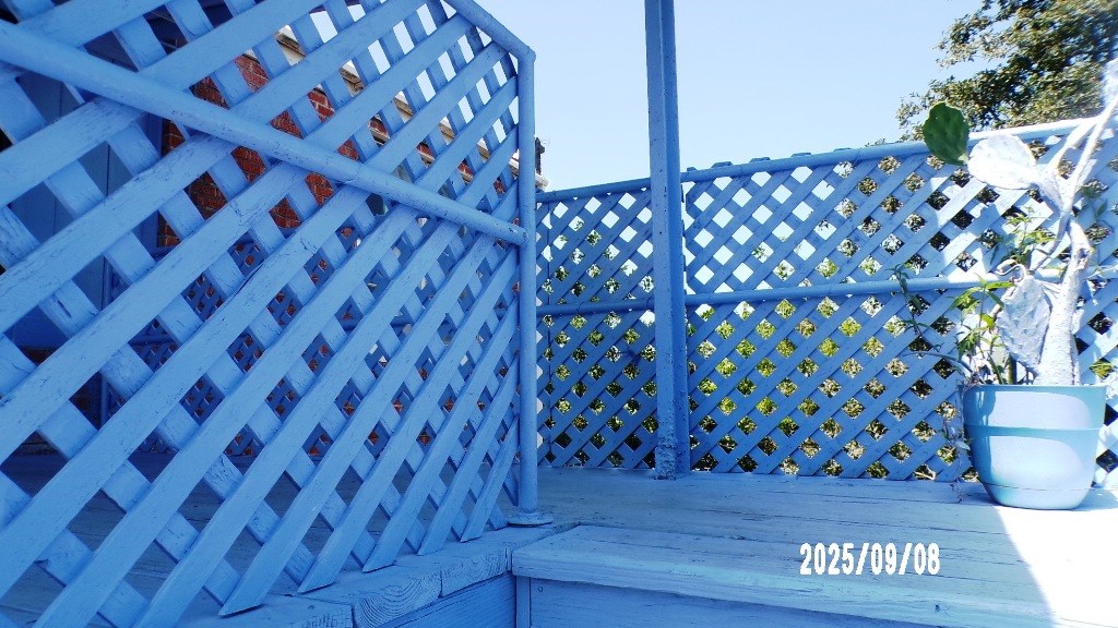 704 Washington 3 Or 4 Property Photo 8