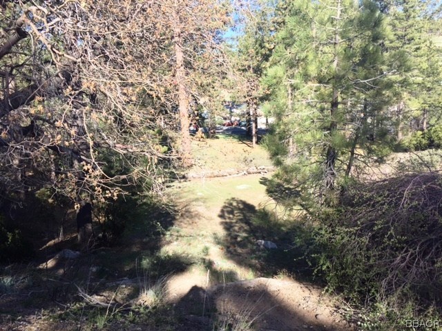 0 Talmadge Property Photo 3