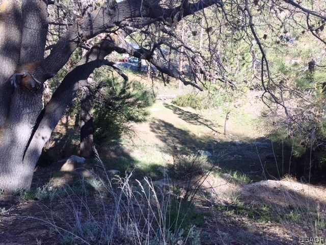 0 Talmadge Property Photo 4