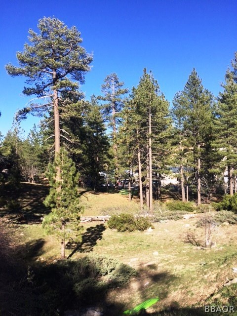 0 Talmadge Property Photo 6