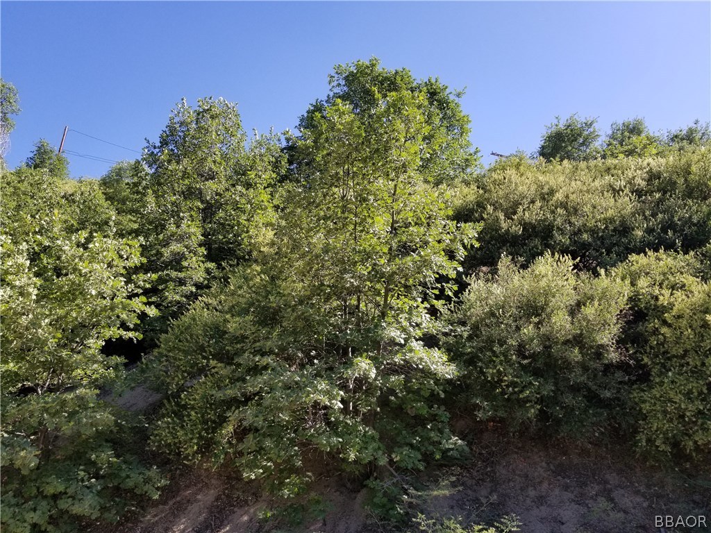 00987 Elder Drive Property Photo 3