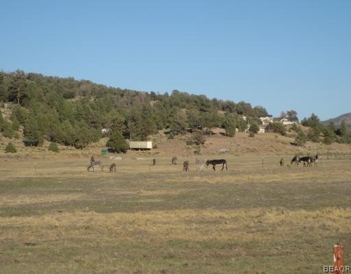 2151 Erwin Ranch Road Property Photo 5