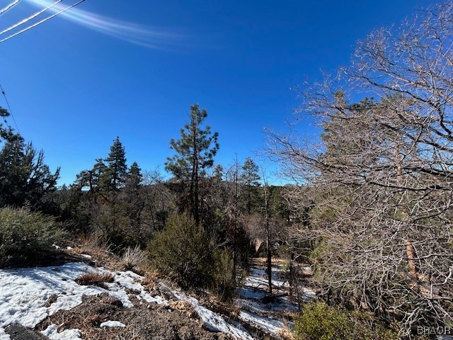 0 Bruin Trail Property Photo 1