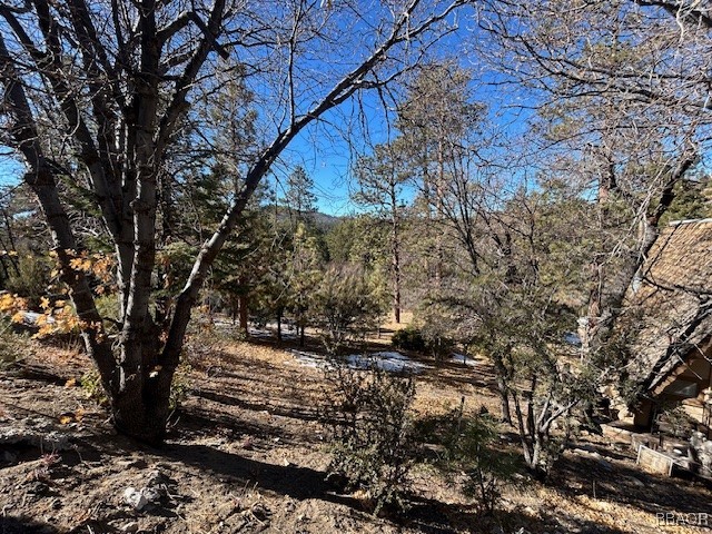 0 Bruin Trail Property Photo 2