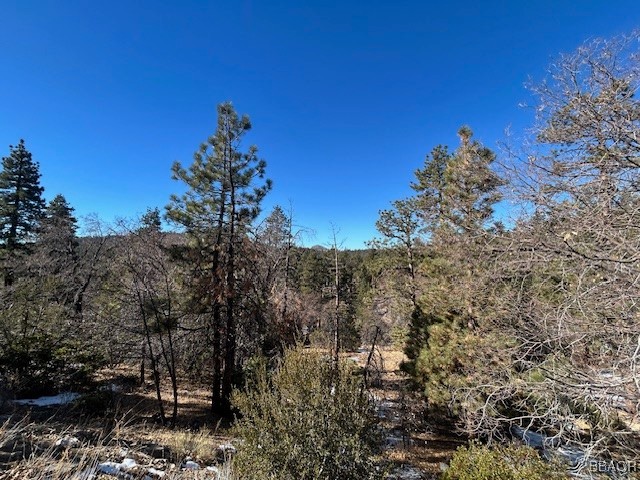 0 Bruin Trail Property Photo 3